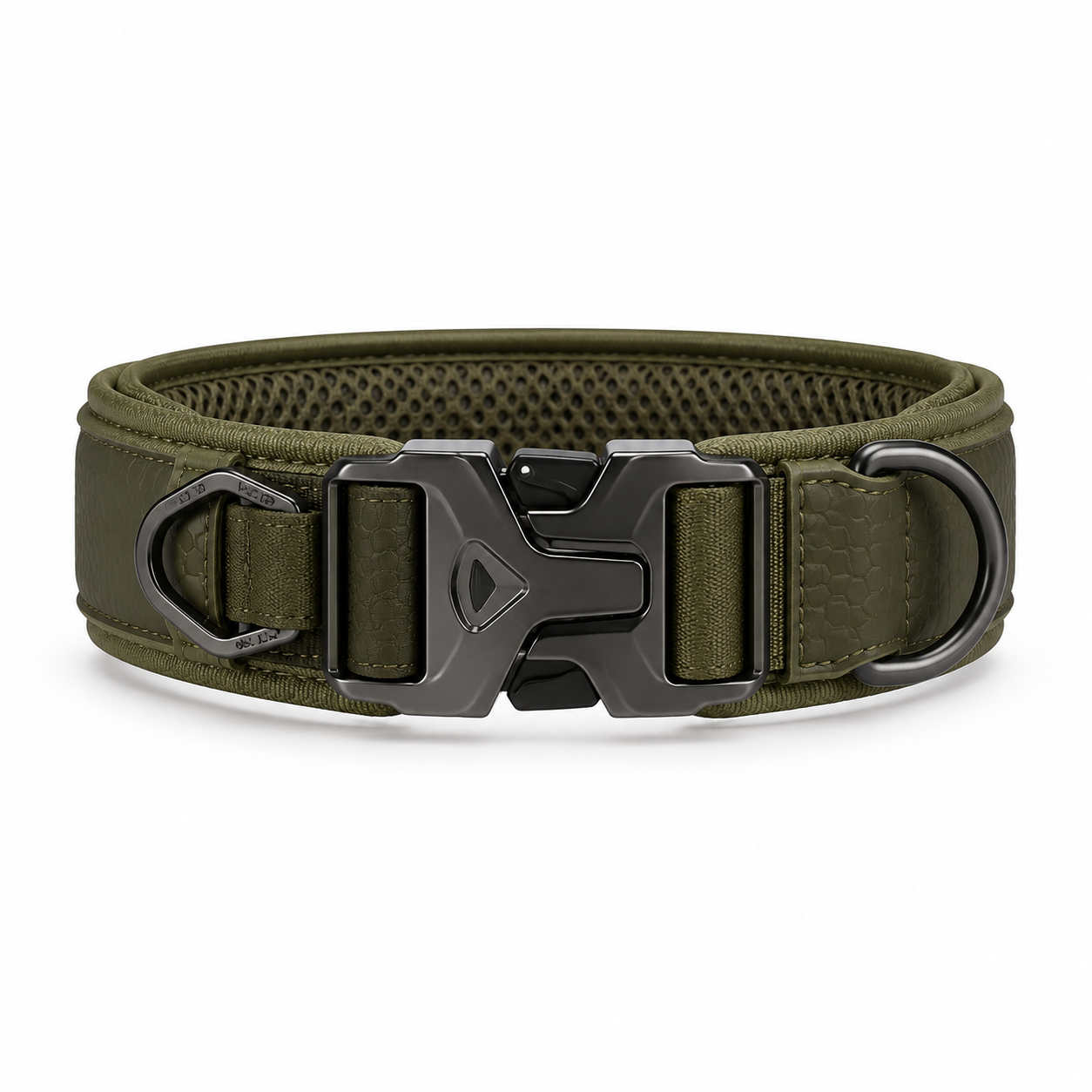 Pet Collar & Leash