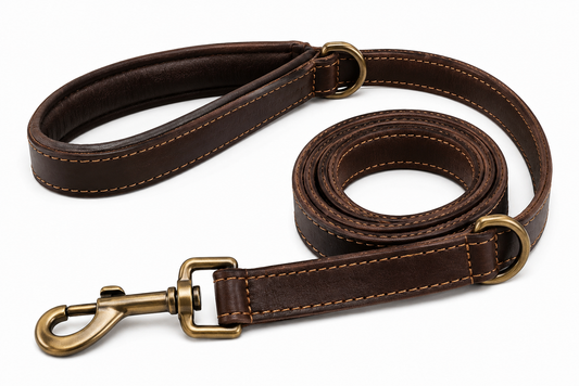 A sturdy brown leather dog leash with brass hardware laid out straight