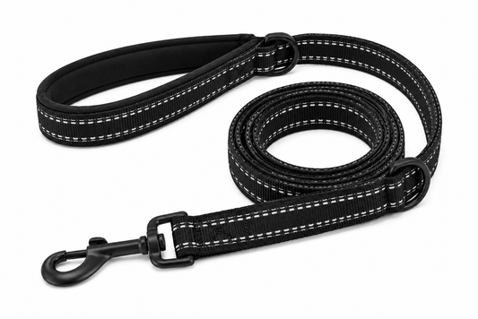Black dog leash with reflective stitching and metal clasp lying on a white