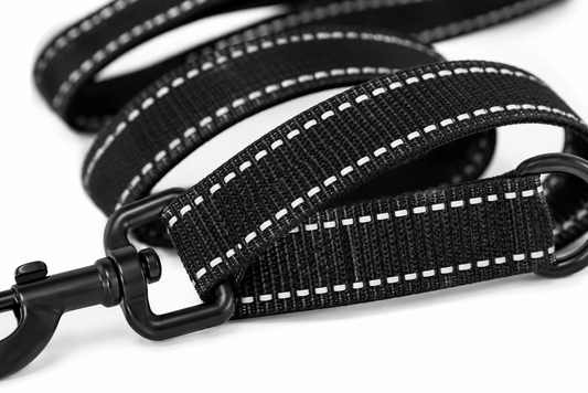 Close-up view of a sturdy black dog leash with reflective stitching and metal