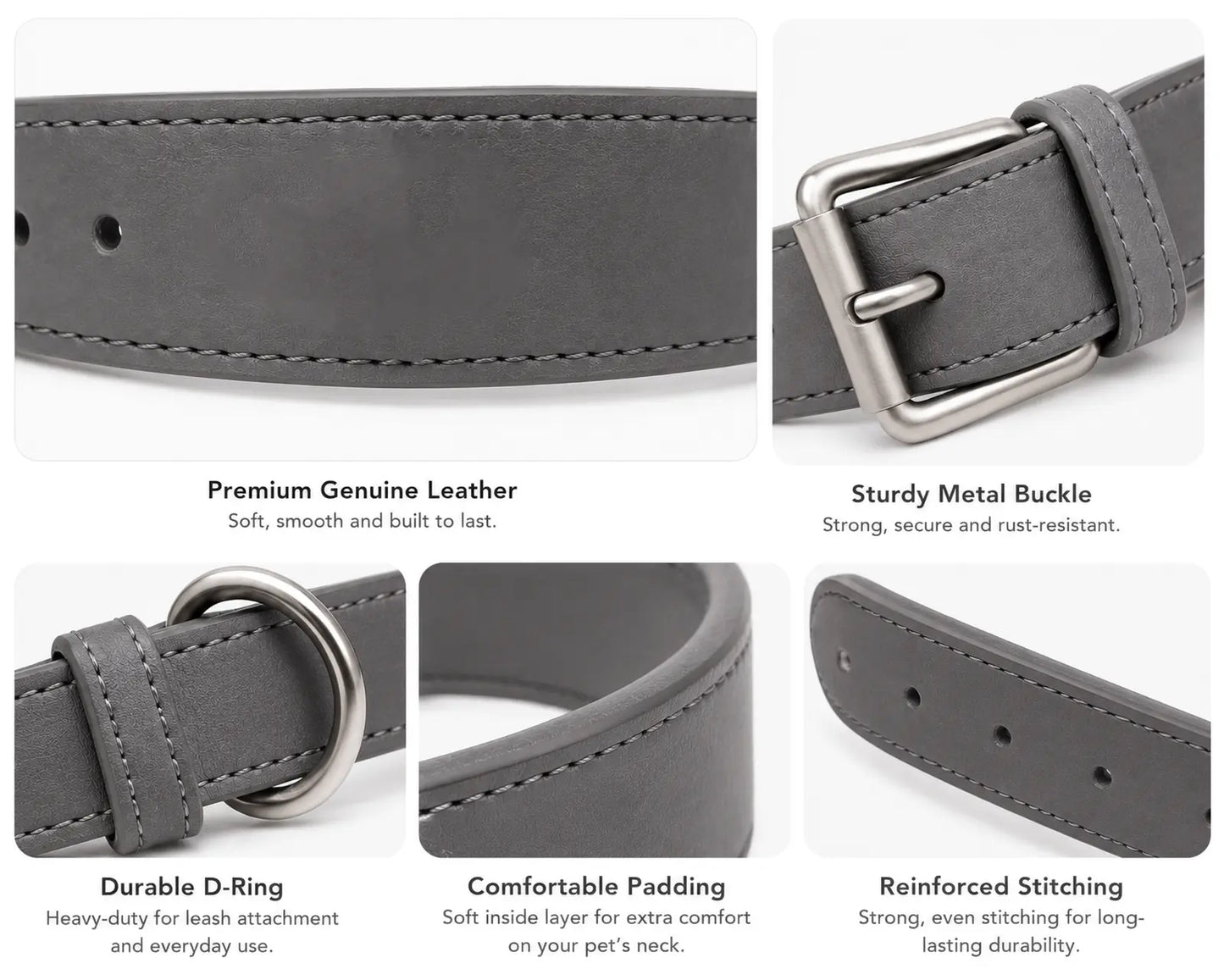Premium leather dog collar with metal buckle and detailed stitching features