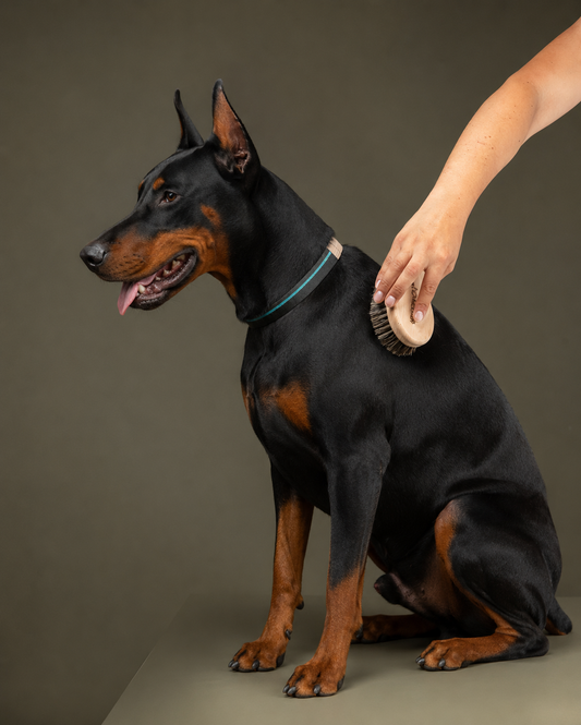 Curved Wooden Pet Grooming Brush