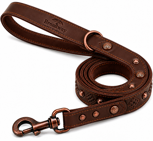 Leather Walking Leash for Dogs with Swivel Clasp