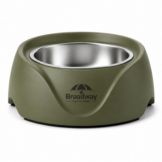 Modern Stainless Steel Pet Feeding Bowl with Non-Slip Base