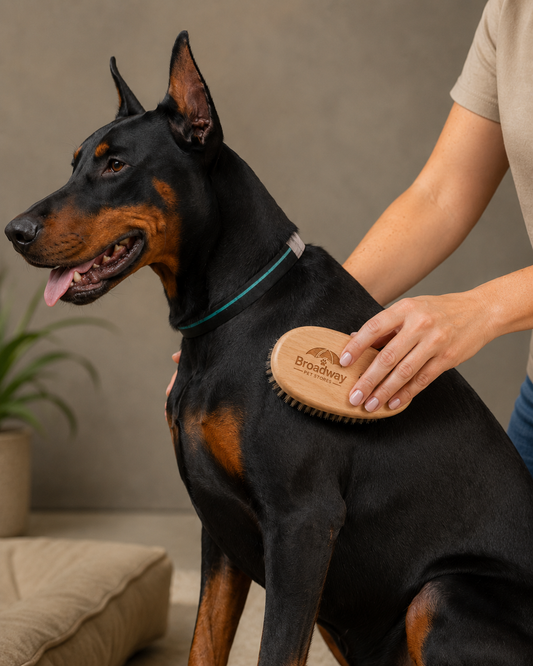Wooden Pet Grooming Brush